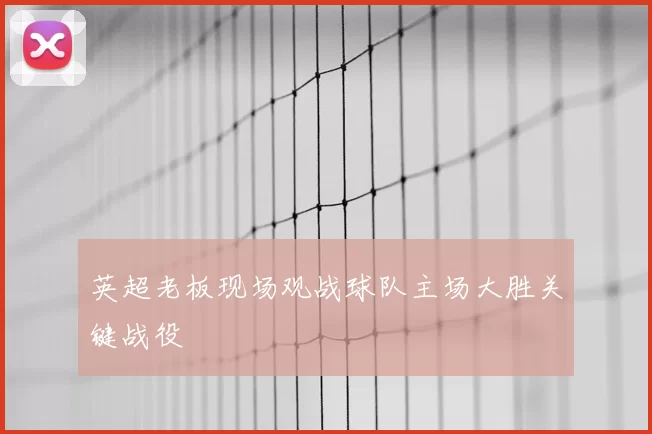 英超老板现场观战球队主场大胜关键战役