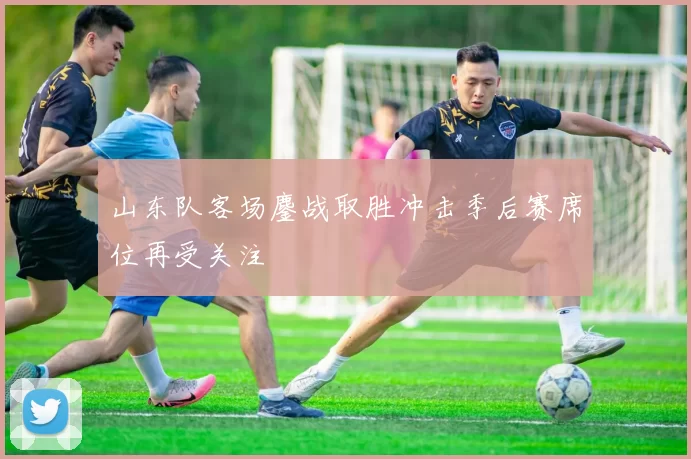 山东队客场鏖战取胜冲击季后赛席位再受关注
