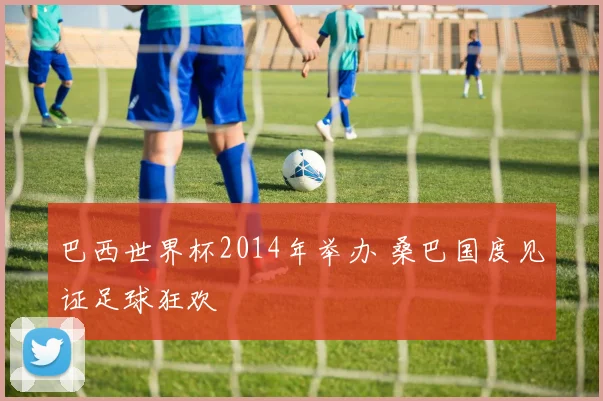 巴西世界杯2014年举办 桑巴国度见证足球狂欢