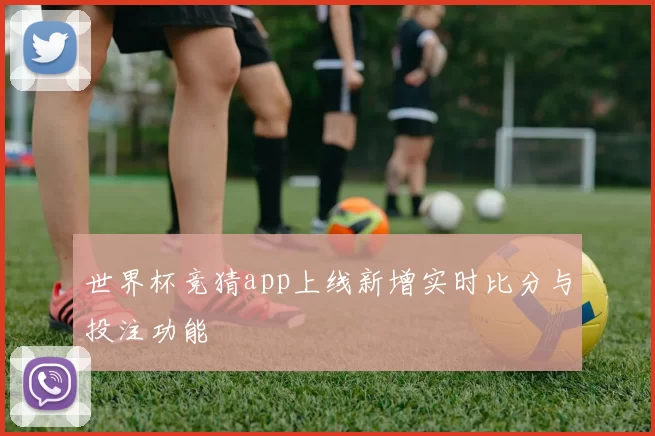 世界杯竞猜app上线新增实时比分与投注功能