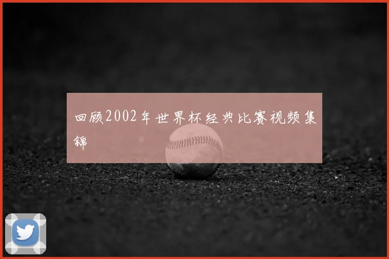 回顾2002年世界杯经典比赛视频集锦